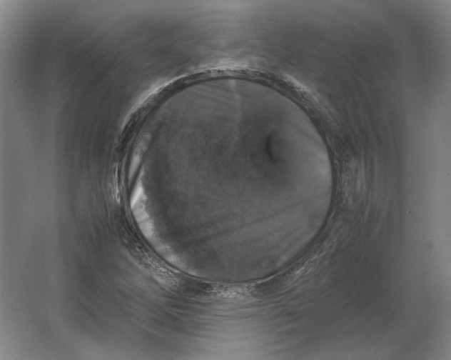 X0000062921262200601271756