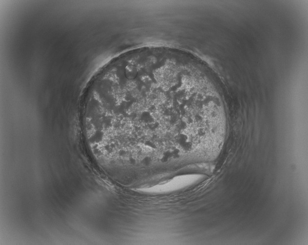 X0000062921263200601271756