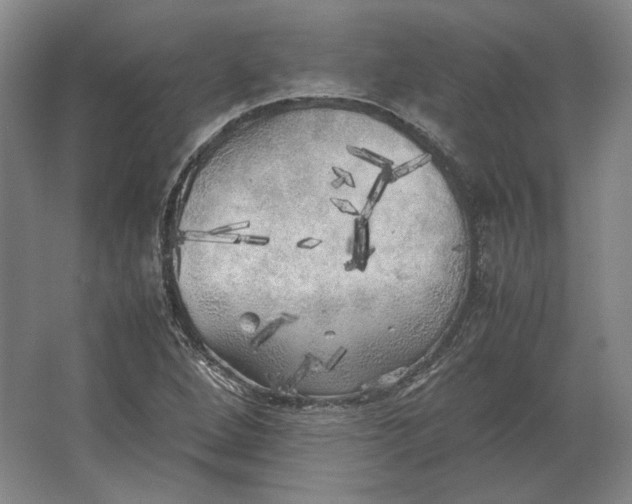 X0000062921264200601271756