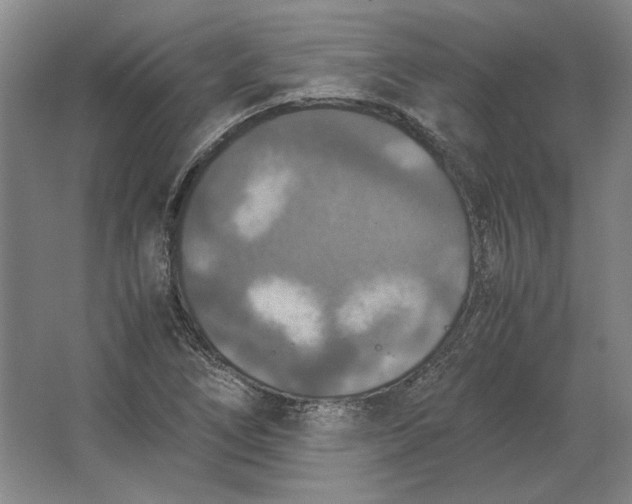 X0000062921266200601271756