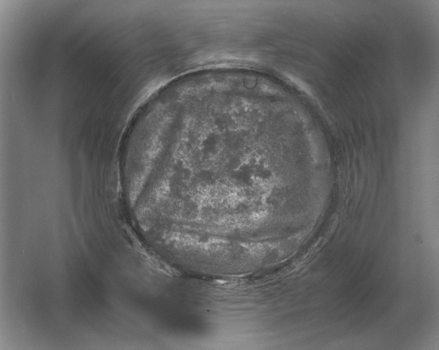 X0000062921267200601271756