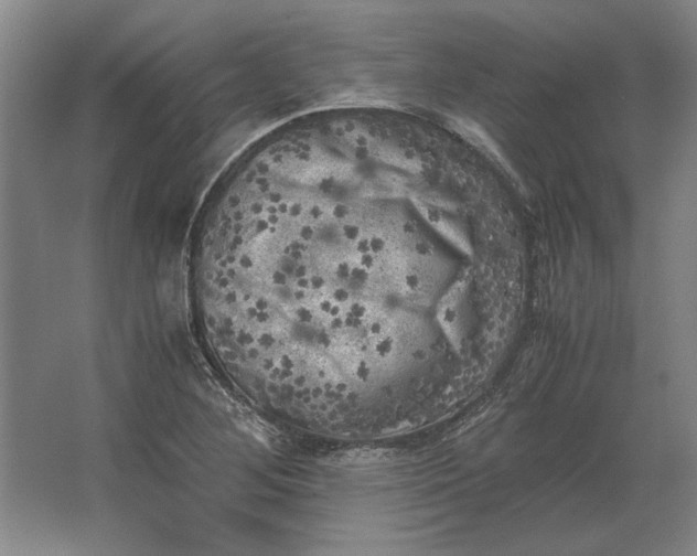 X0000062921268200601271756