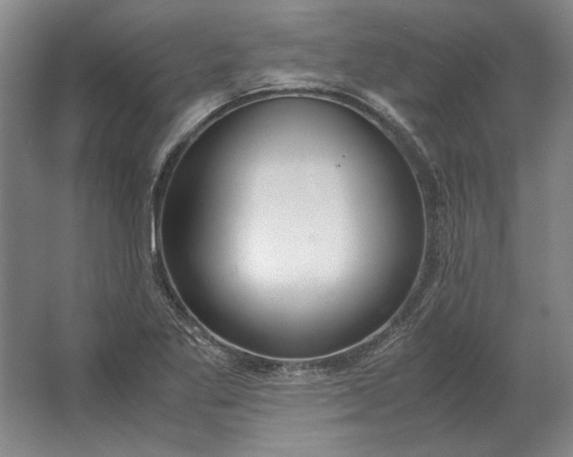 X0000062921269200601271756