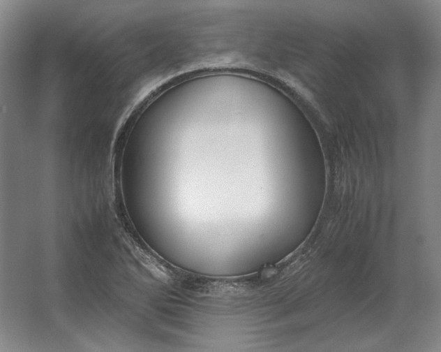 X0000062921270200601271756