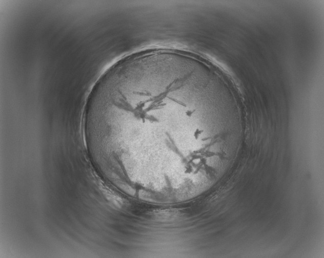 X0000062921272200601271756