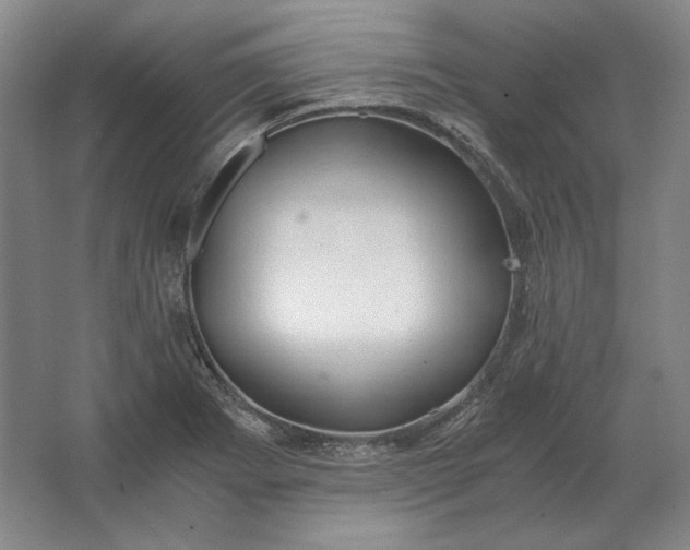 X0000062921273200601271756