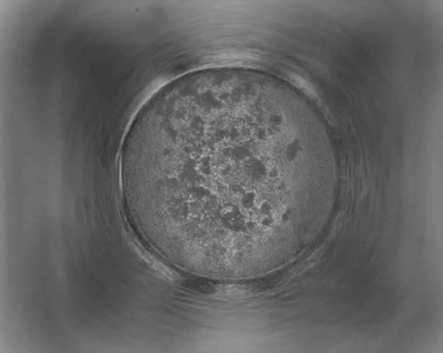 X0000062921275200601271756