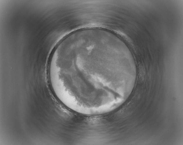 X0000062921278200601271756