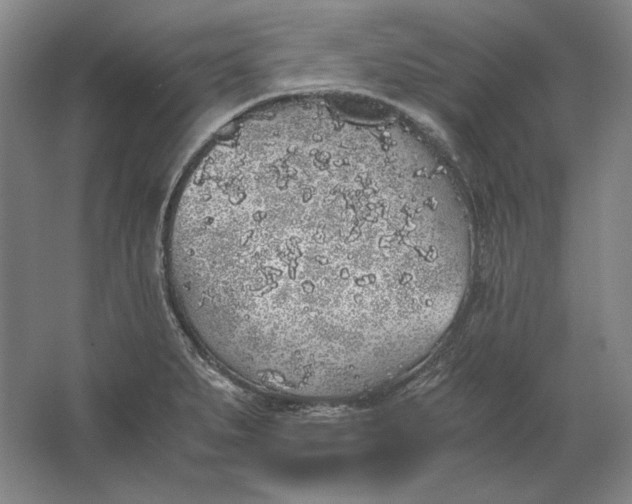 X0000062921279200601271756