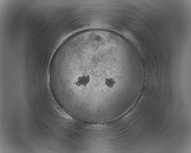 X0000062921280200601271756