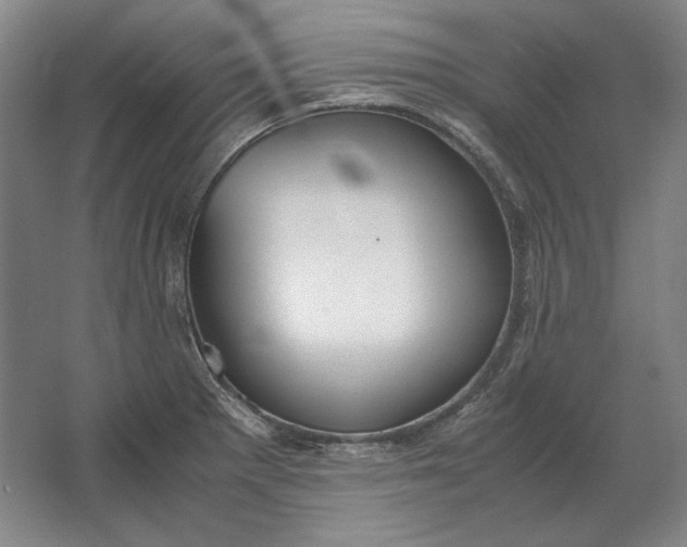 X0000062921281200601271756