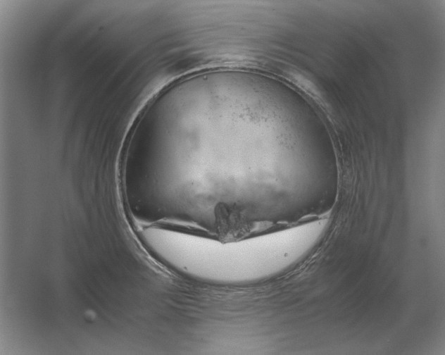 X0000062921283200601271756