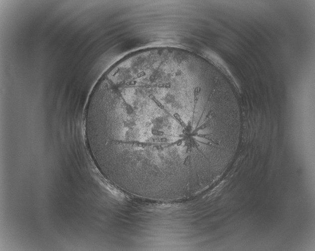 X0000062921284200601271756