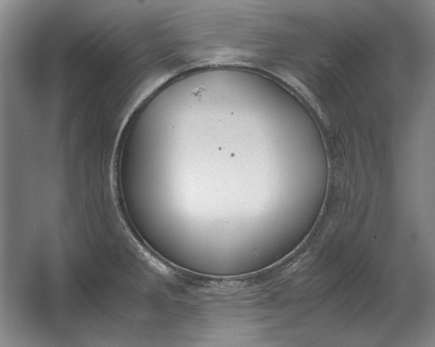 X0000062921285200601271756