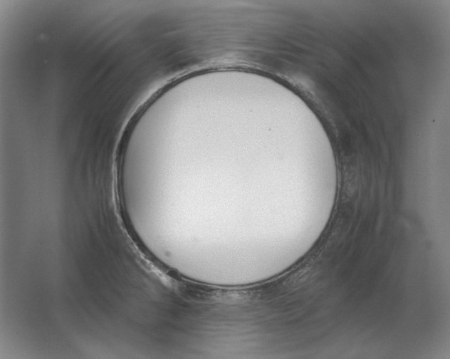 X0000062921286200601271756