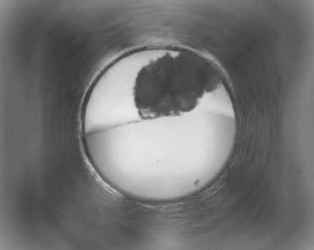 X0000062921287200601271756