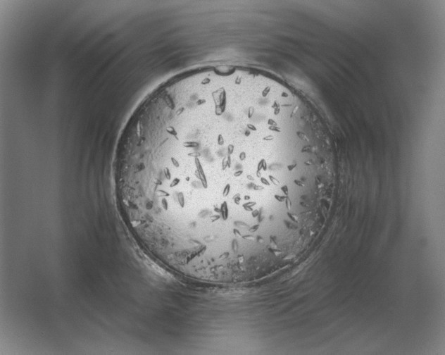 X0000062921288200601271756