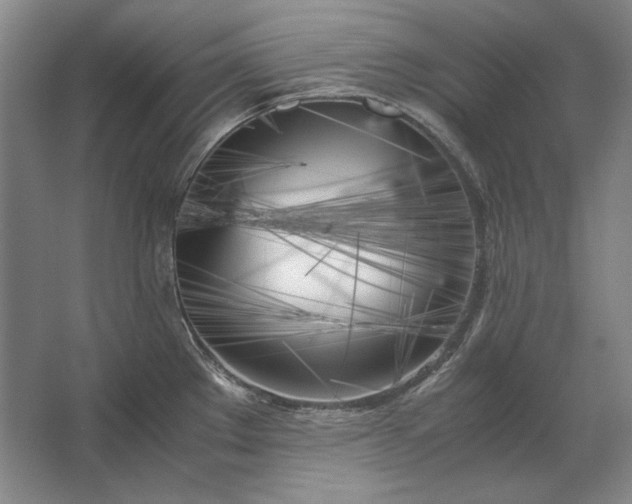 X0000062921289200601271756