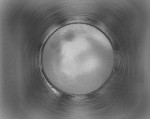 X0000062921290200601271756