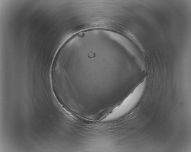 X0000062921291200601271755