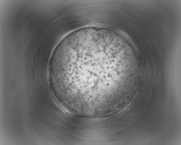 X0000062921292200601271755