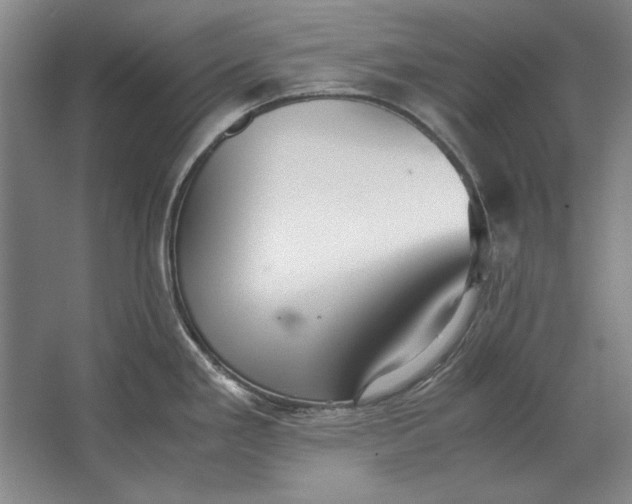 X0000062921293200601271755