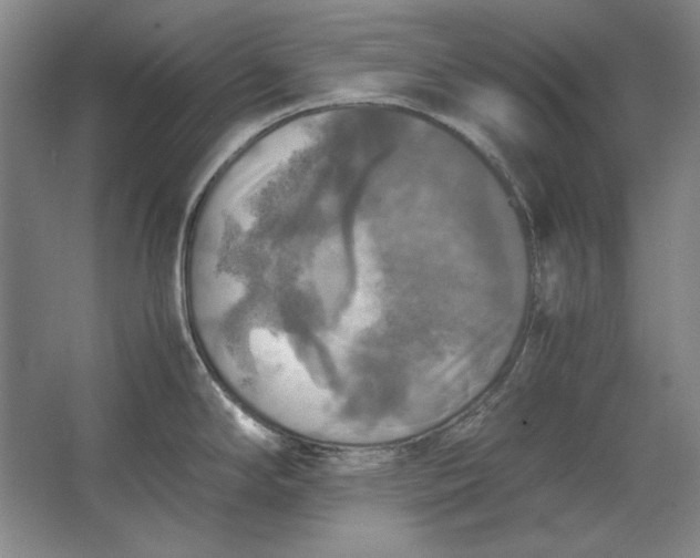 X0000062921294200601271755