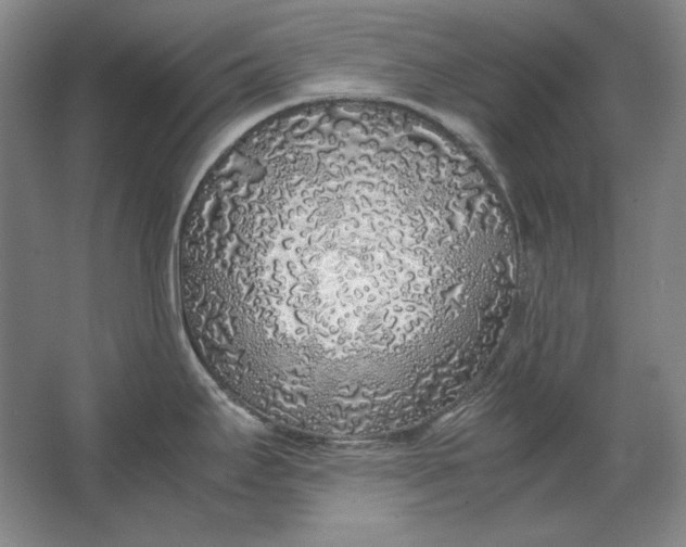 X0000062921295200601271755