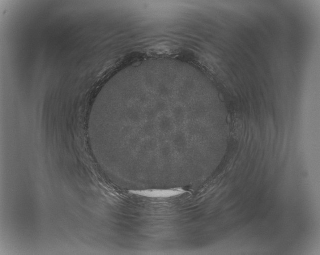 X0000062921297200601271755