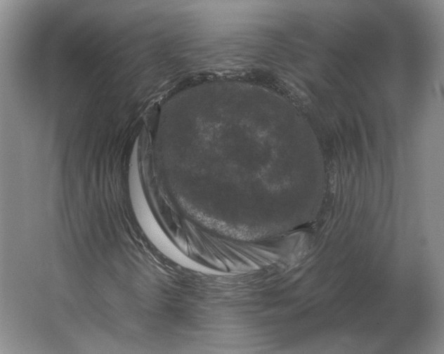 X0000062921298200601271755