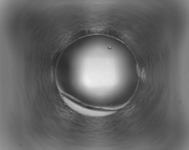 X0000062921299200601271755