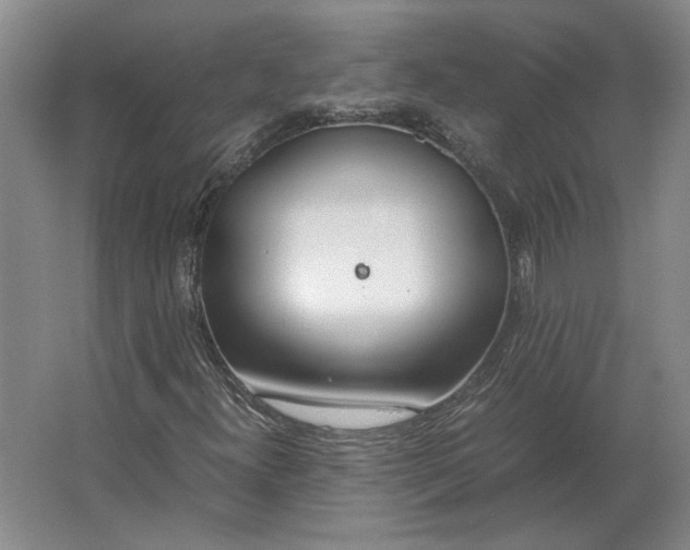 X0000062921300200601271755