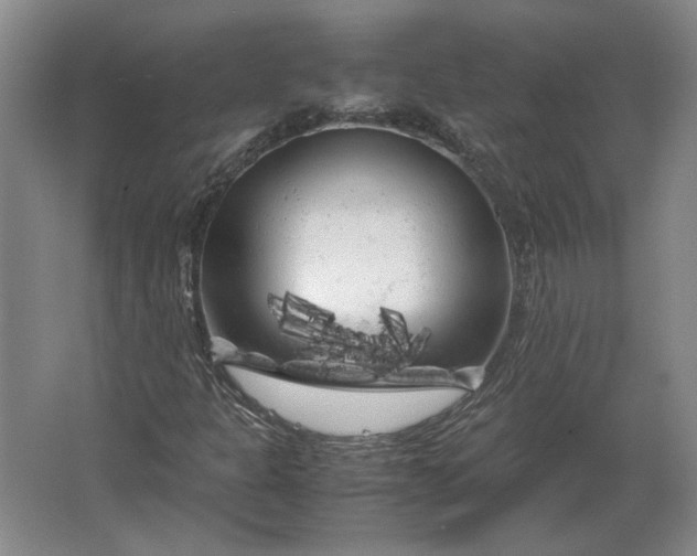 X0000062921301200601271755