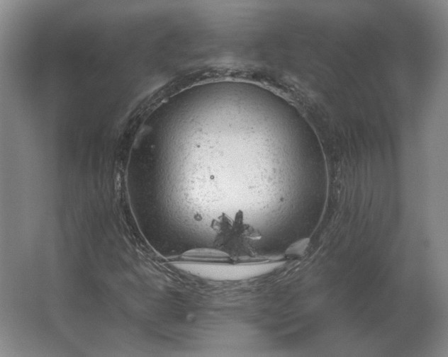 X0000062921302200601271755