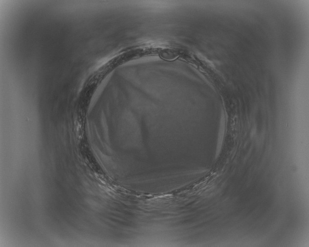 X0000062921303200601271755