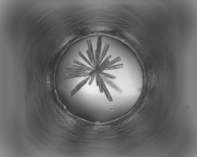 X0000062921305200601271755