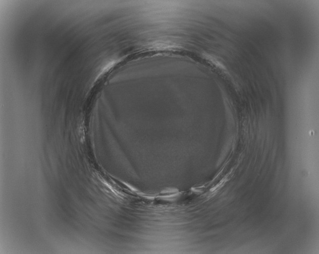 X0000062921306200601271755