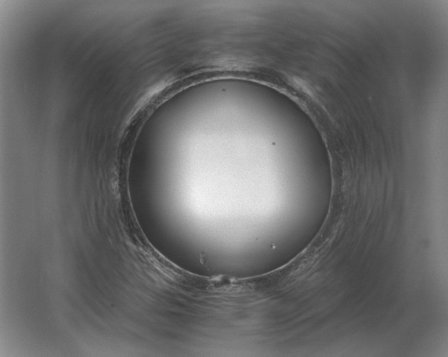 X0000062921307200601271755