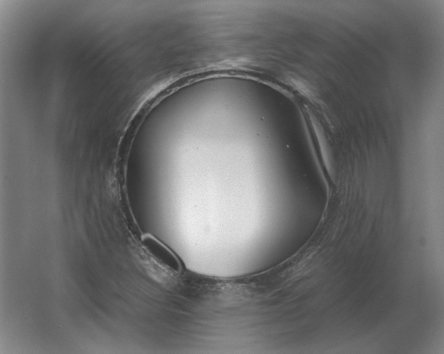 X0000062921308200601271755