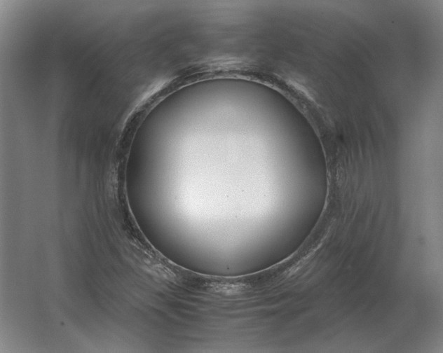 X0000062921309200601271755