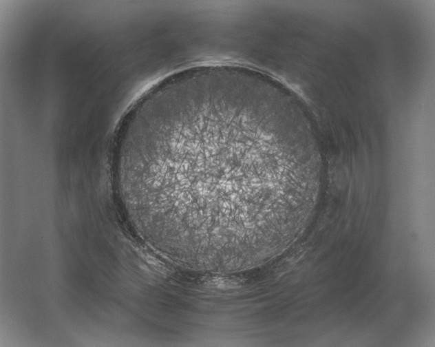 X0000062921311200601271755