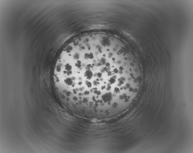 X0000062921313200601271755