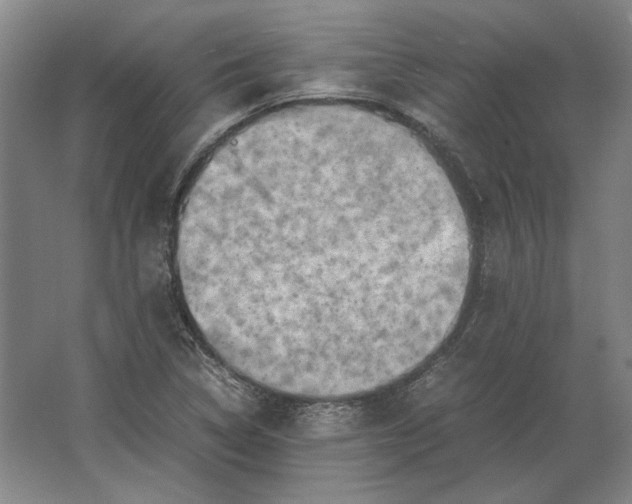 X0000062921314200601271755