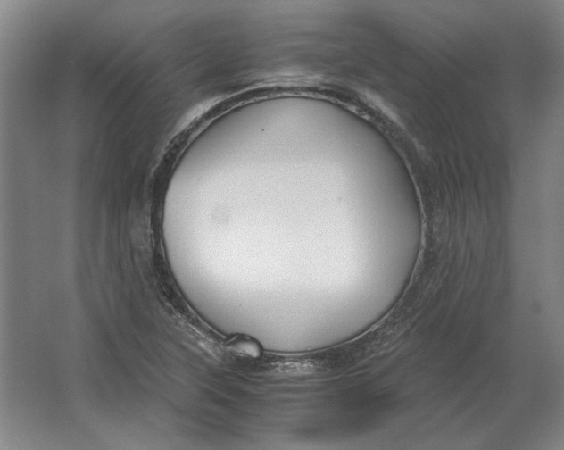 X0000062921315200601271755