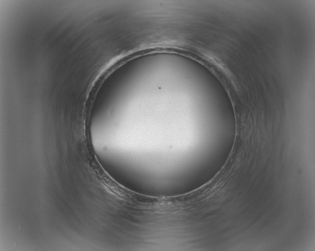 X0000062921316200601271755