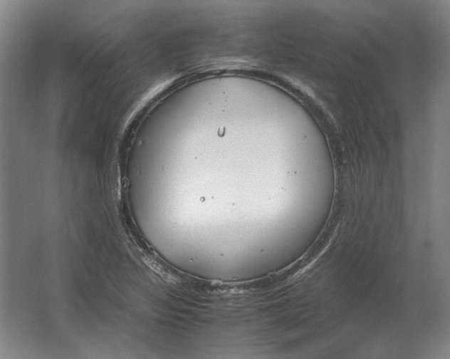 X0000062921317200601271755