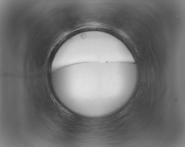 X0000062921318200601271755