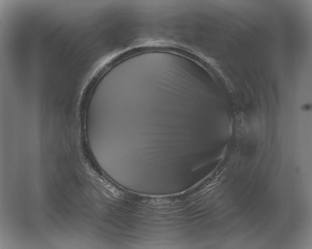 X0000062921319200601271755