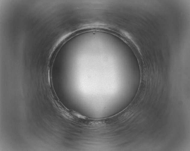 X0000062921320200601271755