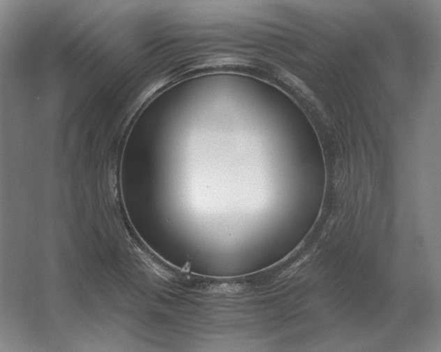 X0000062921321200601271755